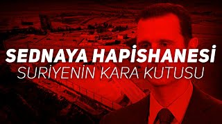 SEDNAYA HAPİSHANESİ SURİYENİN KARA KUTUSU [upl. by Tyne658]