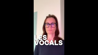 LES VOCALS [upl. by Ytsrik]