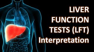 Liver Function Tests LFT and Clinical Interpretation  Crazy Medicine [upl. by Quent]