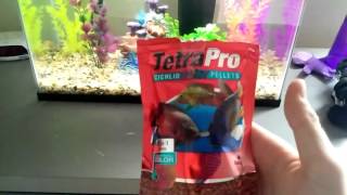 Tetra Pro Cichlid Pellets [upl. by Malik]