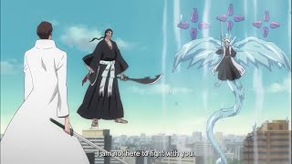 Aizen VS Captains amp Vizards English Sub [upl. by Rusty]