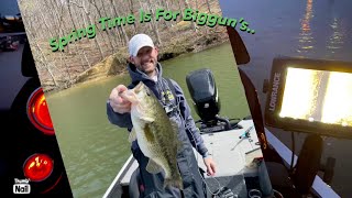 Spring Time Biggun’s Renegade Bass tournament Lake Linville [upl. by Anuahc]