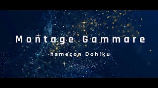 Montage Gammare Dohiku [upl. by Tremaine]