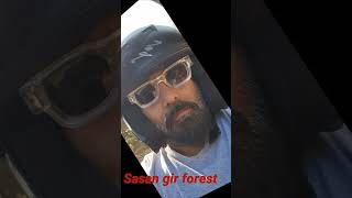 Sasan gir forest music song hindisong bollywood [upl. by Altheta]