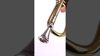 Add a French horn vibe to your trumpet🎺 trumpet kgumusic frenchhorn [upl. by Amero214]