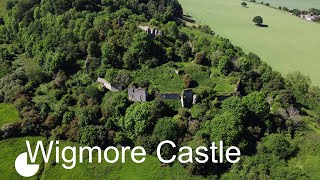 Wigmore Castle  Lost In The Trees [upl. by Utham]