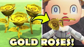 🌹 How To Get GOLD ROSES In Animal Crossing New Horizons [upl. by Akener]