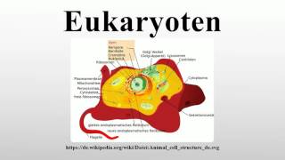 Eukaryoten [upl. by Merth498]