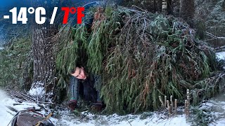 I Found This Shelter in a 14°C WINTER FOREST❄️ Camping in Freezing Finland NordicVentures [upl. by Yeliab]