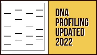 DNA ProfilingUpdated 2022Leaving Cert Biology [upl. by Bartolome704]