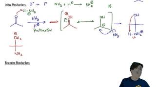 Imines and Enamines Mechanism [upl. by Grim]