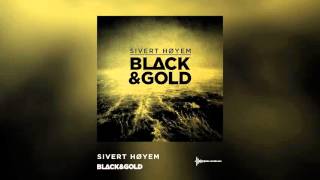 Black amp Gold audio video [upl. by Allegna11]