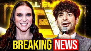 Stephanie Mcmahon BUYS AEW After AEW Double or Nothing 2024 WWE News [upl. by Atolrac542]