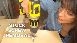 Stuck Screw Removal  5 BEST Ways to Remove Stripped Screws [upl. by Tolley93]