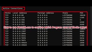 How to use Netstat exe to confirm which Program uses or blocks a port [upl. by Remmos]