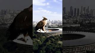 The Garuda spotted at GBK stadium in Jakarta [upl. by Sontich437]