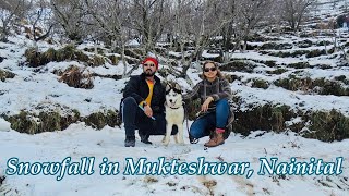 Mukteshwar Nainital Snowfall in Uttarakhand [upl. by Felipa]