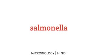 Salmonella  microbiology lecture in Hindi [upl. by Llenrad]