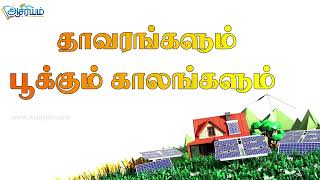 Grade 5 Scholarship Parts of a Plant Asiriyam Education Tamil [upl. by Ahras]