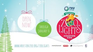 TXU Energy Presents Zoo Lights  2014 [upl. by Pirali]