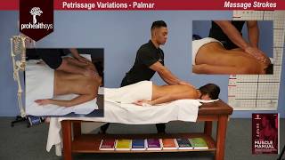 Awesome Massage Petrissage Variations Kneading Vizniak [upl. by Lynn714]