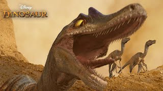 El Ataque de los Velociraptores  Dinosaurio Español Latino HD [upl. by Anceline]