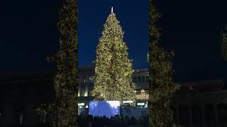 Accensione Albero di Natale 2023 in Piazza Duomo a Milano [upl. by Nguyen]