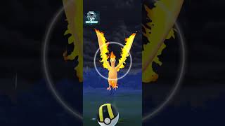 Registro a Moltres Pokemon Go  Pokemon GO pokemon pokemongo pvp teamgorocket set7 shiny gbl [upl. by Ecinnaj]