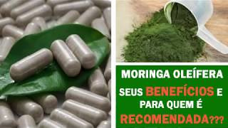 Moringa Oleífera Para que Serve  Benefícios e onde Comprar  Chá de Moringa em Caps [upl. by Esikram]