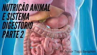 CAP UERJ Nutrição animal e sistema digestório parte 2 [upl. by Chastain183]