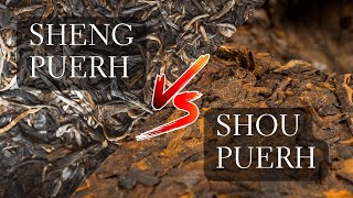 Sheng vs Shou Puerh  Comparing 2 Different Puer Teas Ripe Puerh vs Raw Puerh [upl. by Bel]