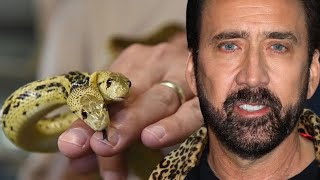 Nicolas Cages Wild Spending Spree From Castles 2 Headed Snake To Dinosaur Skulls [upl. by Aciretnahs590]