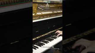 bechstein piano classicalmusic [upl. by Verras]