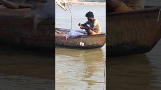 Net fishing at mahewa ghat 🐠 wildlifeseacreatures [upl. by Naerb]