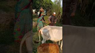 Hey Bhana uttarakhand shortsvideo NewKumaoniJagarSong2024 Maheshkumar Sangeeta BhawanaKandpal [upl. by Bundy543]