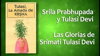 Tulasī La amada de Kṛṣṇa1 [upl. by Wynne]