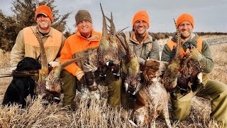 South Dakota Pheasant Hunting Road Trip  The Flush Season 12 Episode 11 [upl. by Ohcamac533]