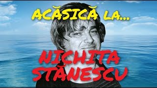 Acăsică la Nichita Stănescu [upl. by Junko]