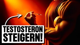 So Steigerst Du Dein Testosteron Geheimtipp [upl. by Poler]