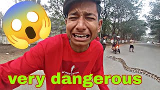 danger snake 🐍 viral viral comedy vlogs vlog MrBestFans1 [upl. by Eilis]