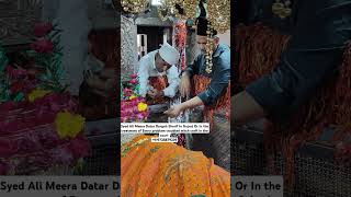 New mira datar dargah qawwali video 2024 WhatsApp status [upl. by Gena]