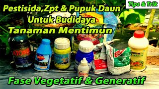 Pestisidazpt dan pupuk daun untuk budidaya mentimun [upl. by Anavoj]