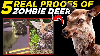 Top 5 Real Zombie Deer Disease Videos Caught on Camera [upl. by Dulcia388]