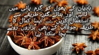 Badiya ke phool k fawaid  Star Anise Seed Benefits ShamimAppa [upl. by Michail329]