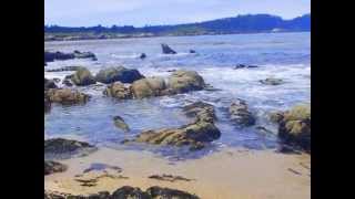 Carmel California Beach and Wildflowers [upl. by Felic]