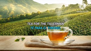 Cat Stevens  Tea for the Tillerman subtitulada en EspañolInglés [upl. by Kaliski130]