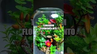 The Hidden DIY Terrarium Adventure [upl. by Zzabahs]