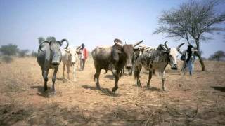 Souley Konko El fulani [upl. by Treharne]