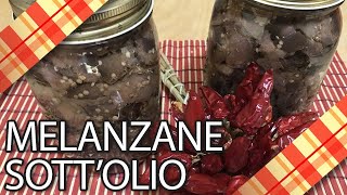 MELANZANE SOTT OLIO IN DISPENSA  EGGPLANTS IN OIL TRADITIONAL RECIPE  CRICUCINA [upl. by Blunk351]