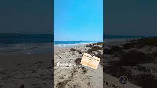 The sounds of Mobjack Bay nature outdoors beach [upl. by Einnel]